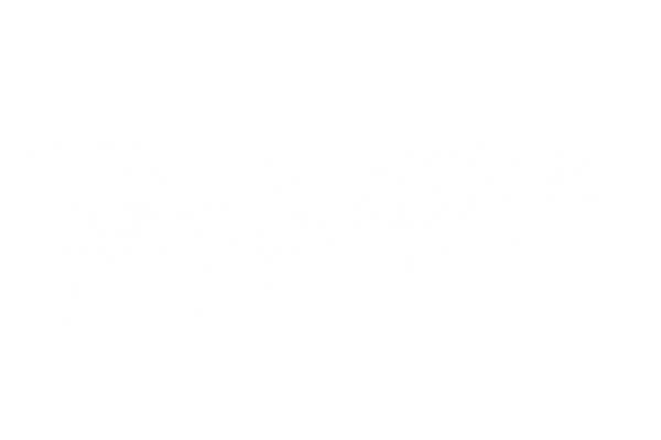 Patinetero